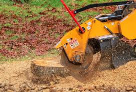 How Our Tree Care Process Works  in  Bridgewater, VA